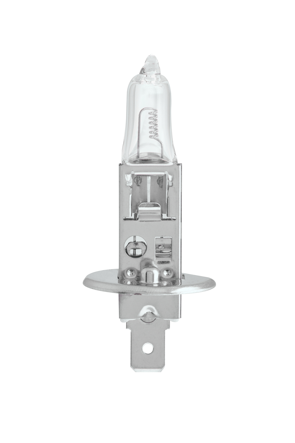 H1 24v bulb new arrivals