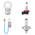 Other 24V Bulbs